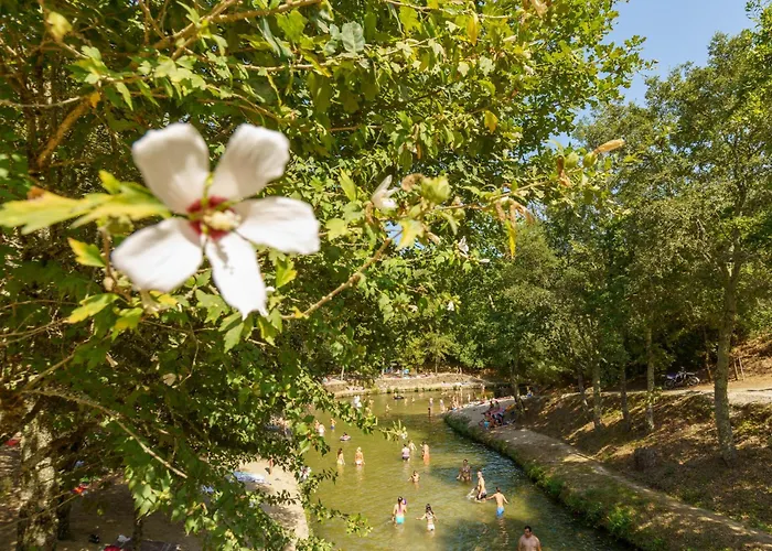 Casa Fermil Da Graca * Veade