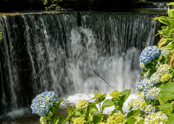 Casa Fermil Da Graca Veade