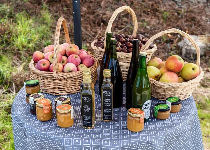 펜션 Casa Fermil Da Graca Veade