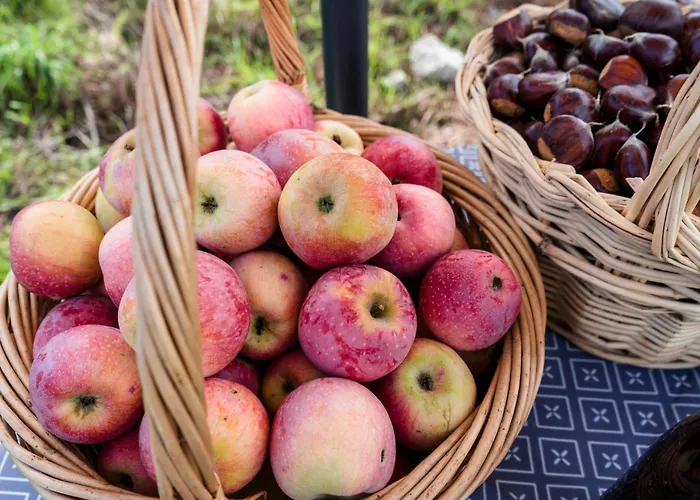 Casa Fermil Da Graca * Veade