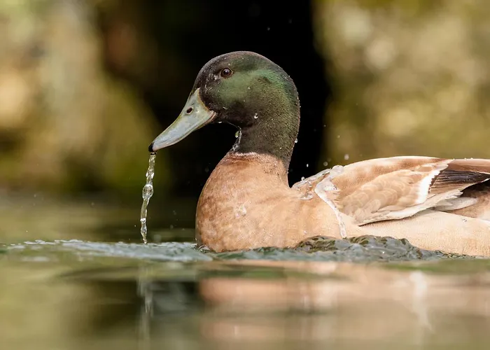 Tatil Evi Casa Fermil Da Graca *