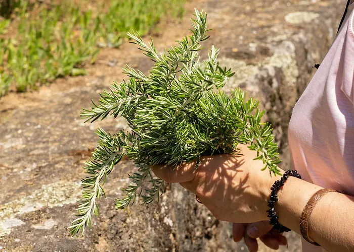 Casa Fermil Da Graca * Veade